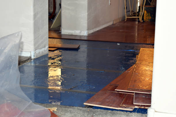 Professional Water Damage Restoration technician working in Islesford, ME